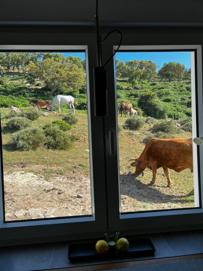 Cortijo Las Cabrerizas ฟาซินาส ภายนอก รูปภาพ
